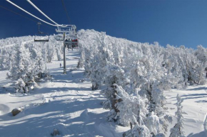 Ski Run Village 11
